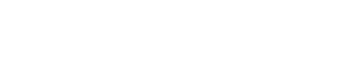 VsichkoTok Logo